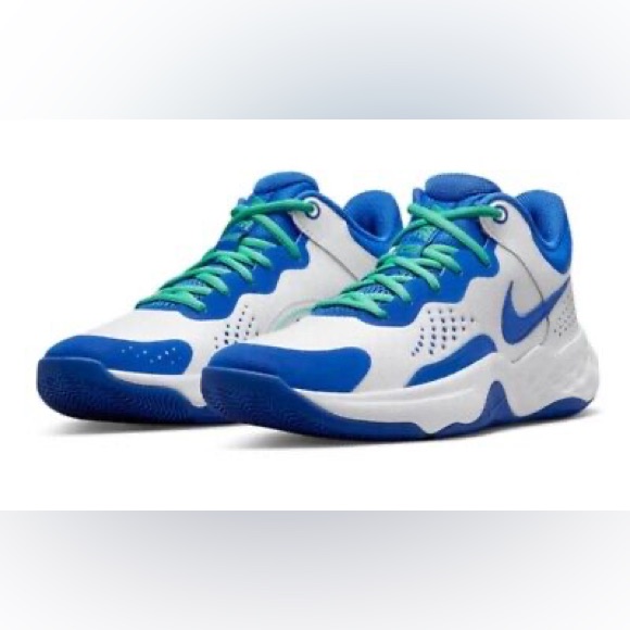 Brand New Nike FlyBy Mid 3 Basketball Shoes Dd9311 102